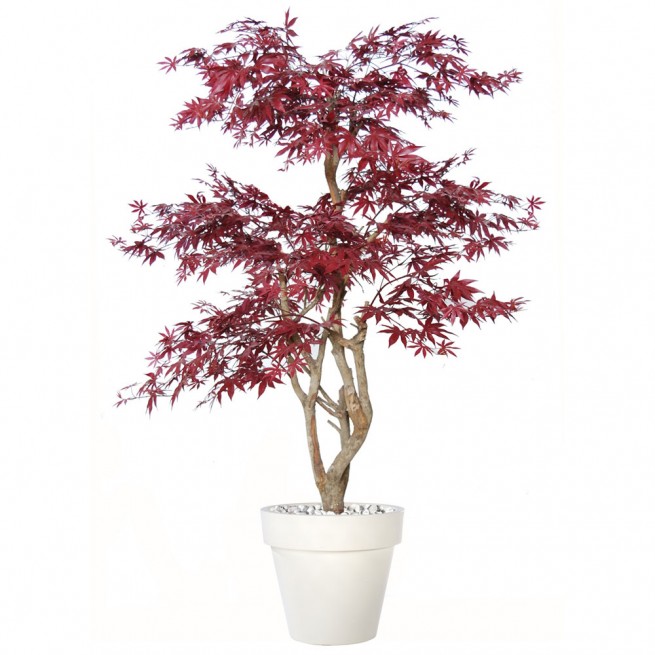 Planta semi-artificiala Ila, Maple Stylish Burgundy - 170 cm